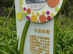 -中国宋庆龄青少年科技文化交流中心