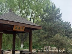 -大兴滨河森林公园