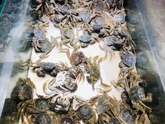 -欢乐牧场海鲜烤肉自助(牡丹园店)