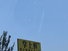 -掌上鲜(南顺城街店)