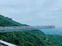 -呀诺达热带雨林