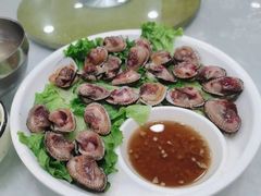 带血毛蛤-海岛渔村大酒店(云霄路店)