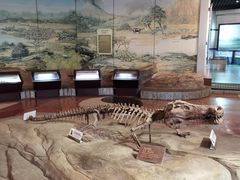 -自贡恐龙博物馆