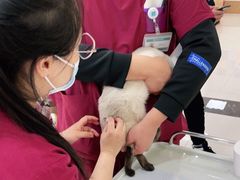-美联众合动物医院·24h京西诊疗中心