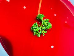 -大熊猫毛肚火锅(烟台万象汇店)