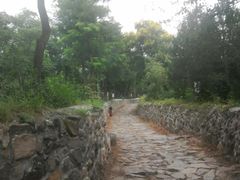 -阳台山自然风景区