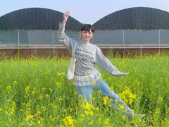 -长洲岛