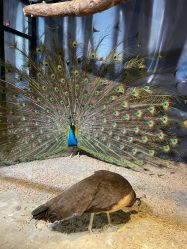 -酷嗒动物文化乐园(cutezoo西溪乐天城店)