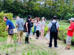 -前小桔亲子创意农场·草莓采摘·露营烧烤
