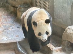 -海南热带野生动植物园