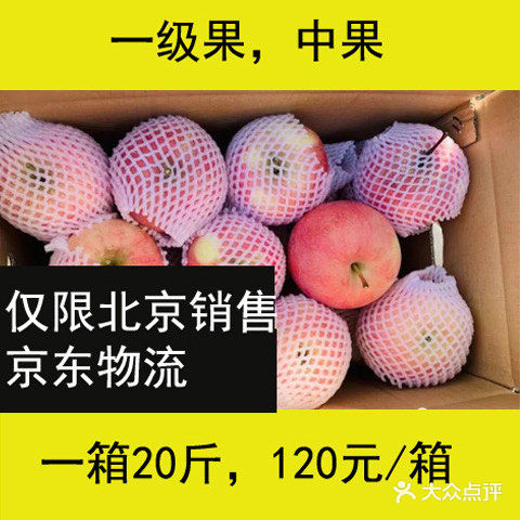 十一，来门头沟爬山、摘苹果