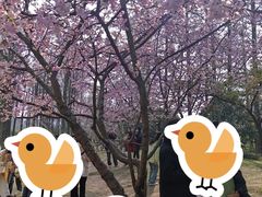 -杭州植物园