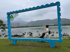 -长兴太湖图影湿地文化园