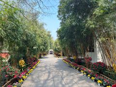 -成都武侯祠博物馆