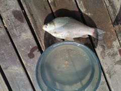 -酷鱼垂钓CLUB(朝阳区博大路店 )