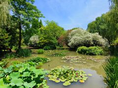 -洛阳市隋唐城遗址植物园