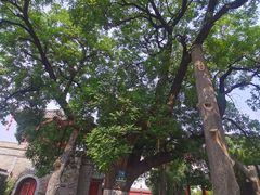 -洛阳周公庙博物馆