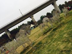 -秀丽东方