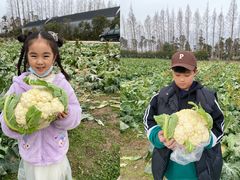 -前小桔亲子创意农场·草莓采摘·露营烧烤