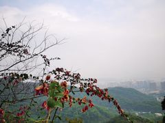 -广州市白云山风景名胜区