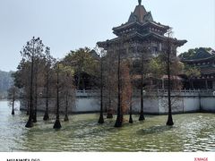 -顺峰山公园