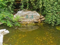 -趵突泉景区
