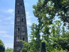 -上海佘山国家森林公园天马山园