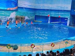 -多彩贵州城极地海洋世界