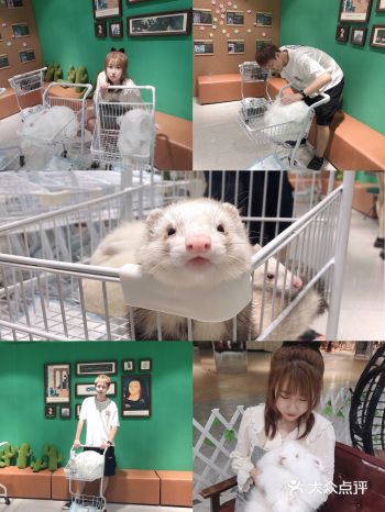 装修简约小清新风店内的小哥哥 小姐姐服务都很热情