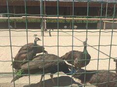 -韶关经律论国际酒店温泉