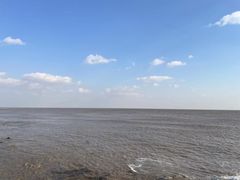 -南汇新城海滩