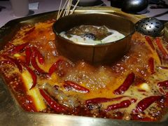 -蜀九香火锅(玉林店)