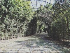 -东海大峡谷