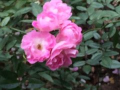 -人民公园(罗湖区)