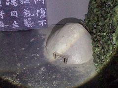 -AOE 火焰 剧本密室狼人杀