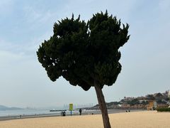 -青岛第一海水浴场
