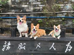 -黄埔古港