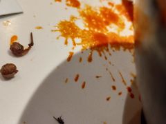 -丙申臺火锅