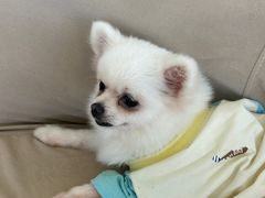 -怪兽屋·羊驼·猫咖·狗咖(俊华广场店)