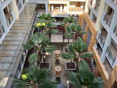 -三亚海棠湾万丽度假酒店