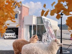 -Blue Concept Cafe&Farm·關於藍