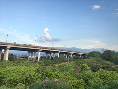 -Helens海伦司小酒馆(王家湾人信汇店)