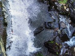 -凤凰山国家森林公园