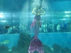 -苏州海洋馆