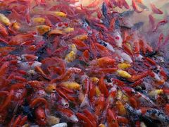 -泰安地下龙宫景区