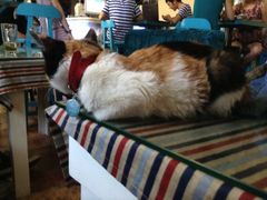 iphone_upload_pic-Sirena海妖日咖夜酒