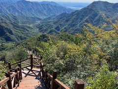 -大岭沟猕猴桃谷风景区