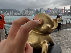 -星光大道