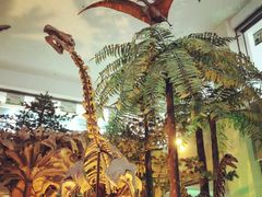 -甘肃地质博物馆