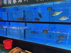 -锦园春香港茶餐厅(西海湾旗舰店)
